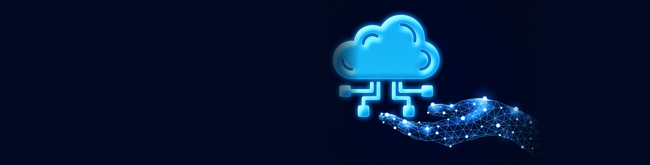 Banner-Cloud Service Router
