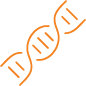 Icon-Genetic Analysis 02