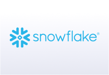 Snowflake Partnership