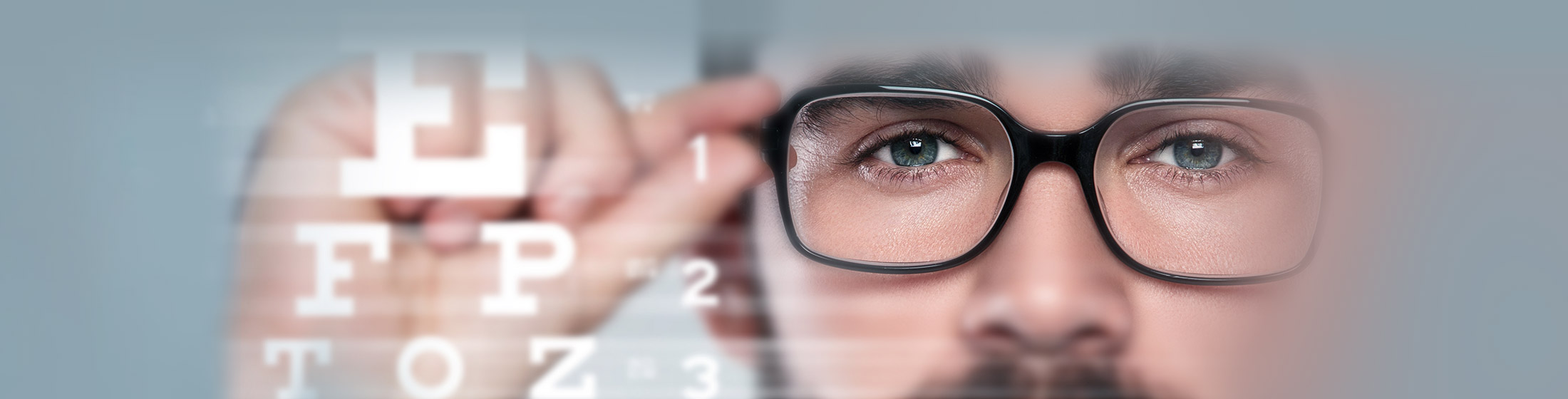 Banner 2200X560 Hoya Vision