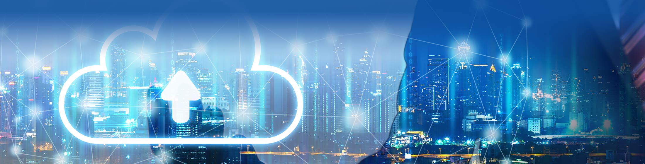 Banner Cloud Based Biometric Authentication Solution