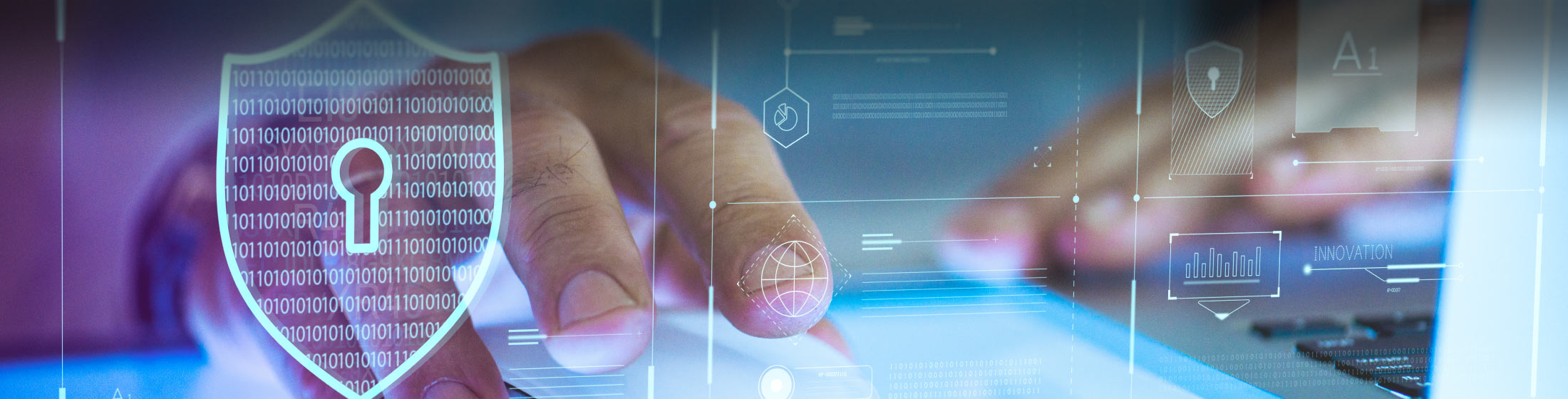 Banner Virtualization of DDOS Prevention Security Device