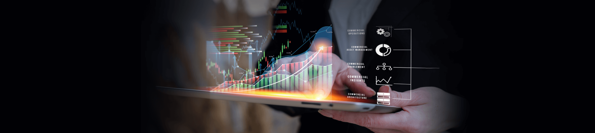 Designed Domain wise Revenue Data Model Banner 1