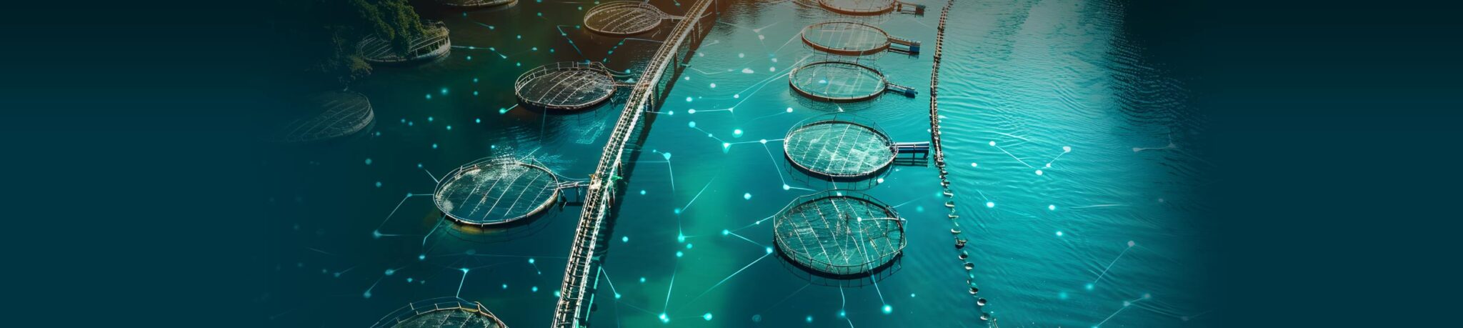 ACL Digital Pioneered AI Driven Digital