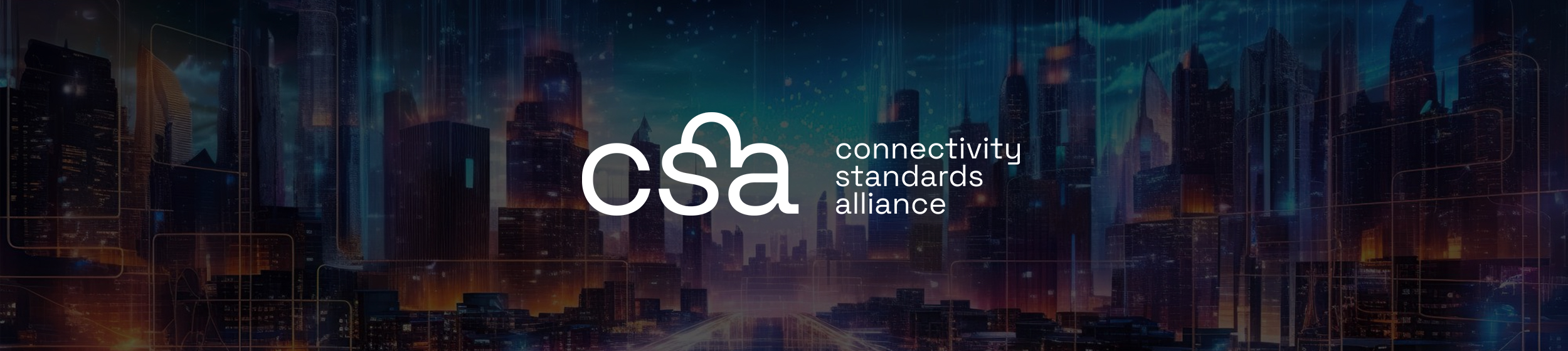 ACL CSA WebPage Banner