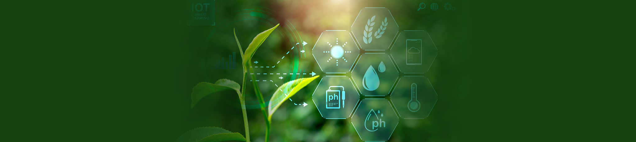 AI Driven Chemical Detection for Food and Crop Analysis